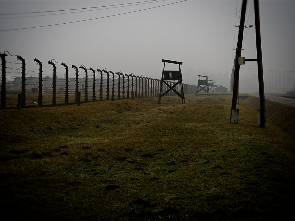 2026 02 08 Krakow 0110 1024x768