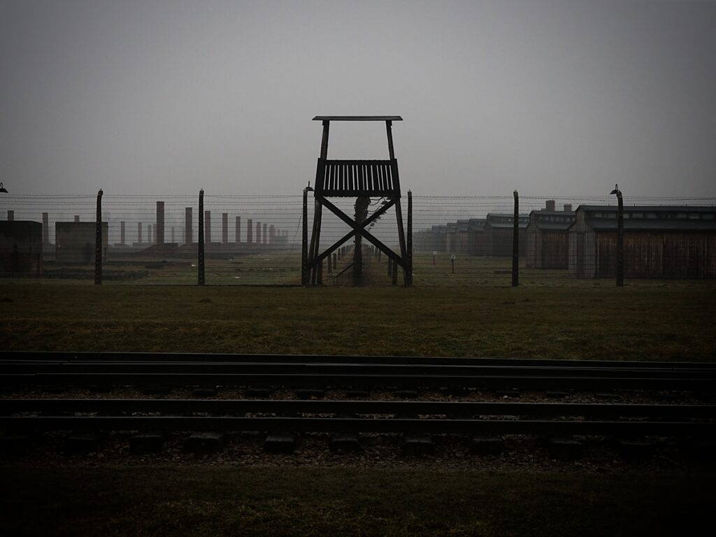 2026 02 08 Krakow 0114 1024x768