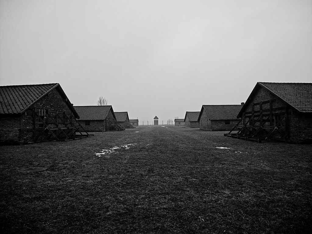 2026 02 08 Krakow 0150 1024x768